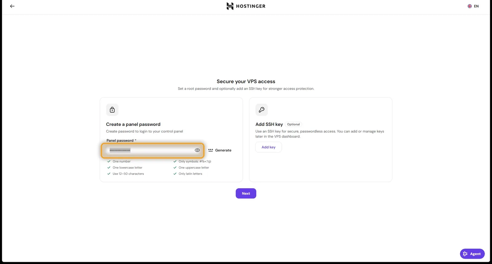 Setting the panel password in the VPS setup wizard